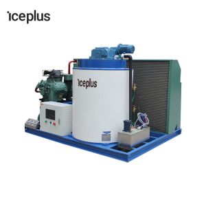 Containerized Design Flake Ice Machine Compact Structure Ice Flake Machine