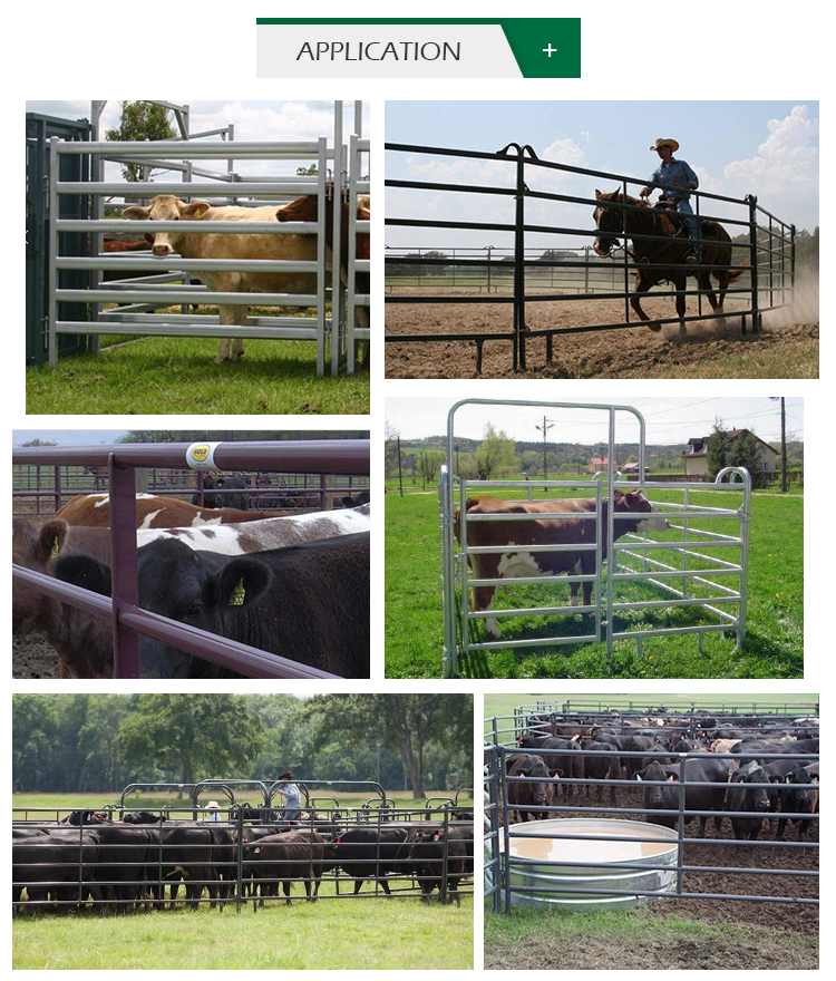 Welded Netting Manufacture Supplier 2x2 Galvanized Cattle Welded Wire Mesh Panel