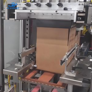 High Efficiency Bottle Drop Case Packer with 5-25 Boxes per Minute Speed for