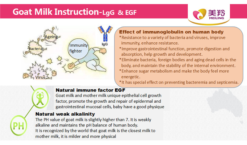 HACCP 6 Months 800gm Baby Formula Goat Milk Powder