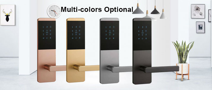 APP Electric Password Smart Lock OEM Anti Theft Door Lock