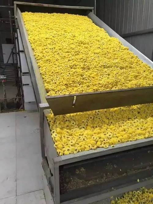 Chili Chrysanthemum Cassava Drying Belt Conveyor Dryer Machine