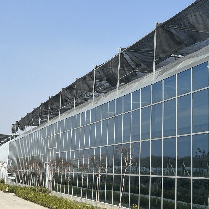 Venlo Glass Greenhouse Hydroponics System for Vegetables