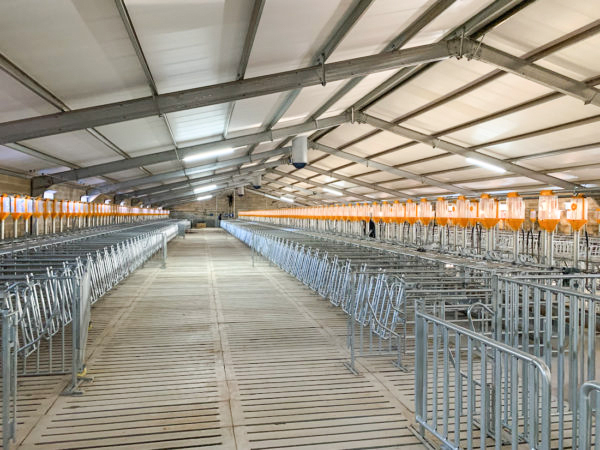 Q235/Q345 Horse Barn Style Metal Buildings Prefab Metal Horse Barn OEM ODM