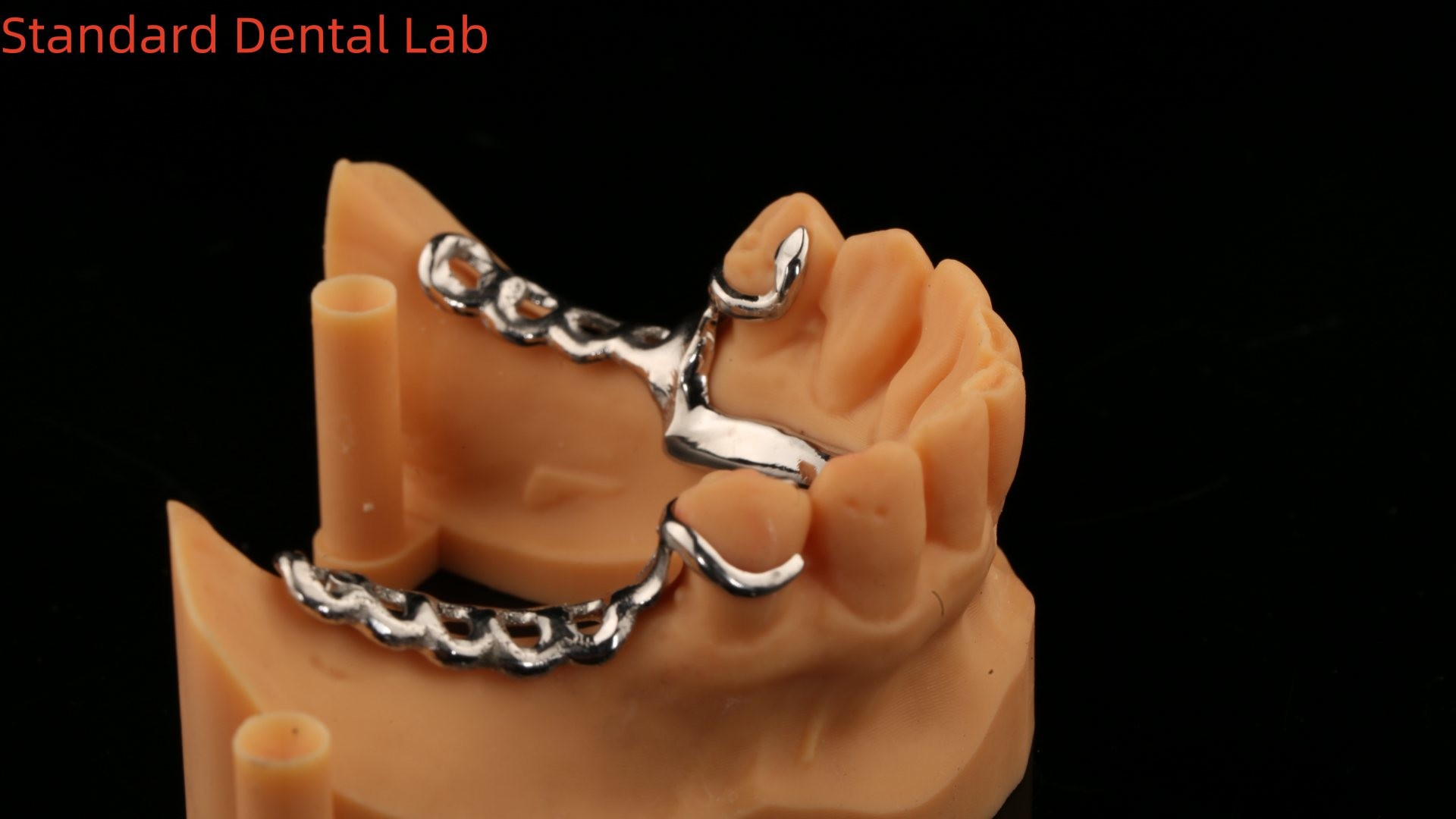 Metal Alloys Partial Cobalt Chrome Dentures Ivoclar Scheftner Comfortable China Dental Lab