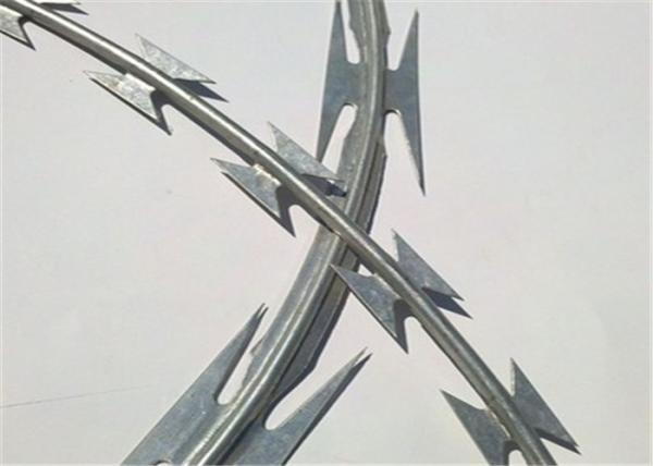 Concertina Galvanized Airport Fence Coil Mesh Cbt-65 Single Stainless Steel