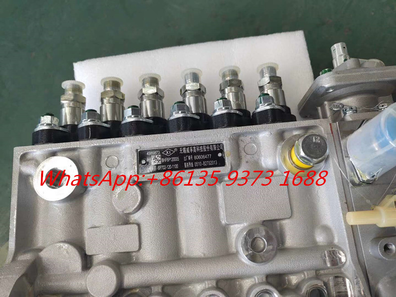 Genuine Cummins 6CT8.3-C260 diesel Engine Fuel Pump 4944742 5260259 4946960 3975927 5266067 4989873