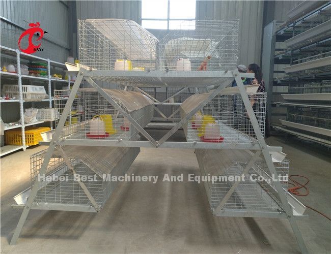 Hightop Chick Brooder Chicken Cage Of Poultry Chicks Ada