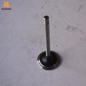 China 100-7860 INTAKE VALVE for CAT3306 on sale