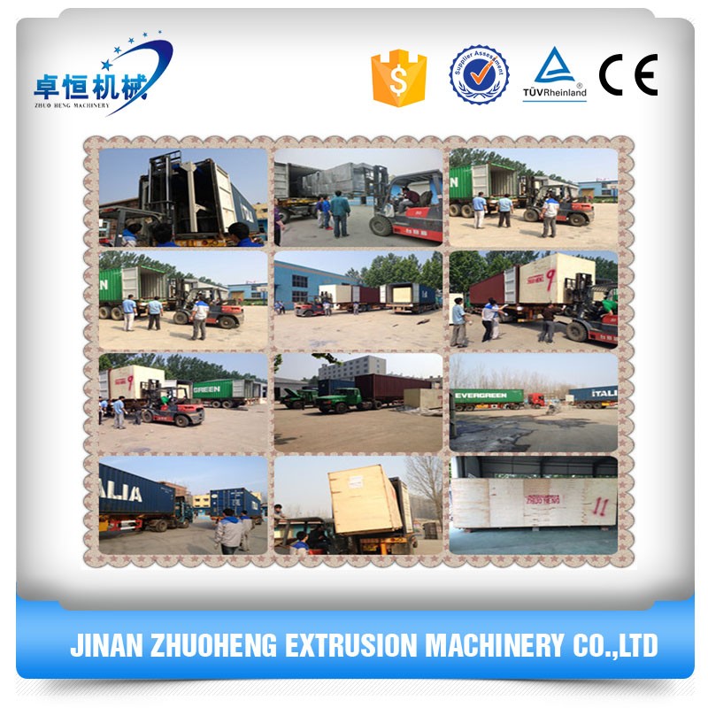 Simens Main Motor Controlled Automatic Dog Pet Food Making Machine for Production