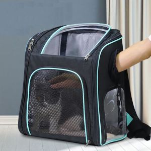 China Customization Pet Dog Cat Travel Carrier Backpack With Breathable Mesh on sale