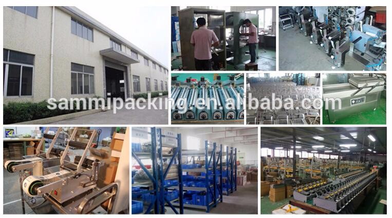 Stainless Steel Vacuum Packing Machine Single Room Semi Automatic DZ-600