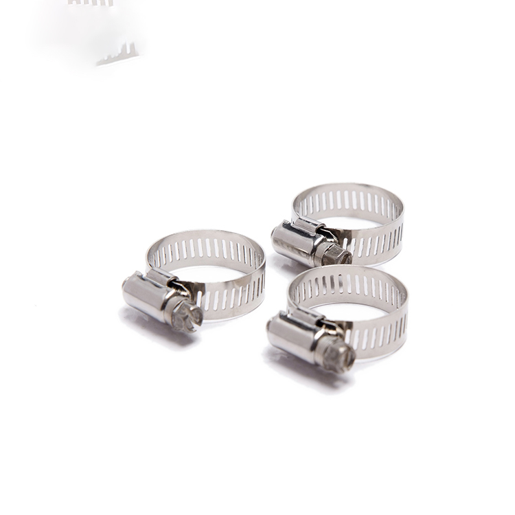 DIN3017 sus 304/316 M33.1 large diameter wing nut spring type safety quick lock hose bar tube clamp