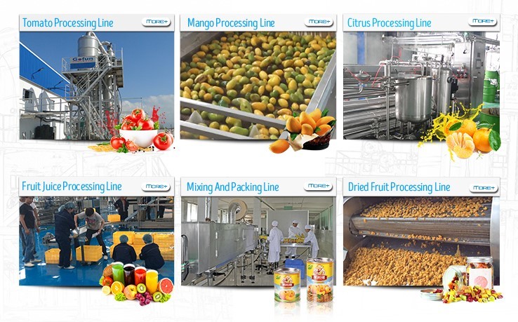 Food Grade Equipment Used In Fruit Juice Processing Juice Concentration