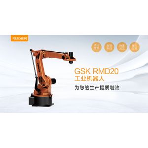 PLC RMD20 GSK Robot Automated Palletizing Robot Equipment