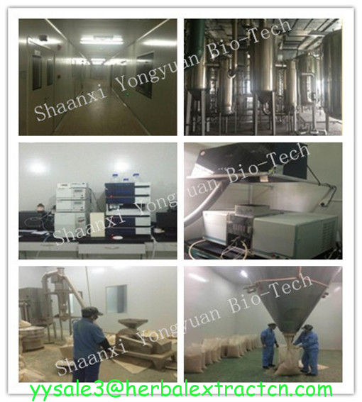 Amygdalin Extract Amygdalin 98%HPLC, CAS No.: 29883-15-6, Chinese supplier, high quality