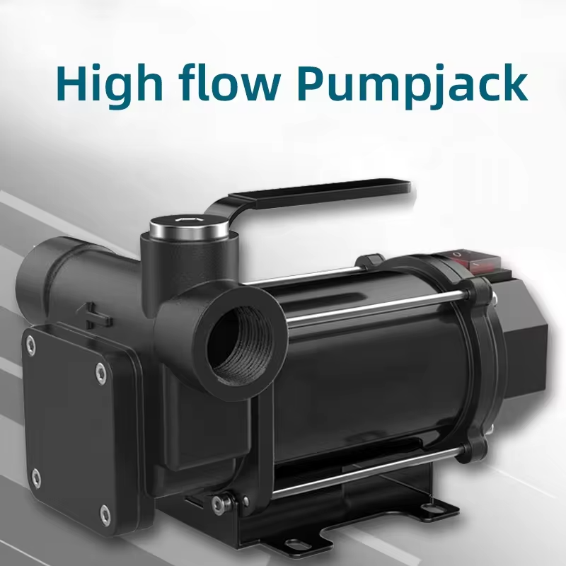 High Flow Compact Size 220 Volt 60L/min Electric Oil Portable Diesel Fuel Transfer Pump