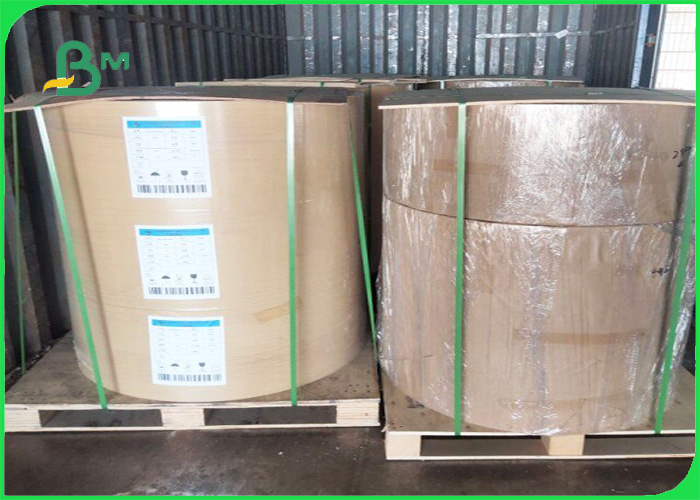 300g 350g PE Coated Ivory Board Waterproof And Untearable To Pack Lunch