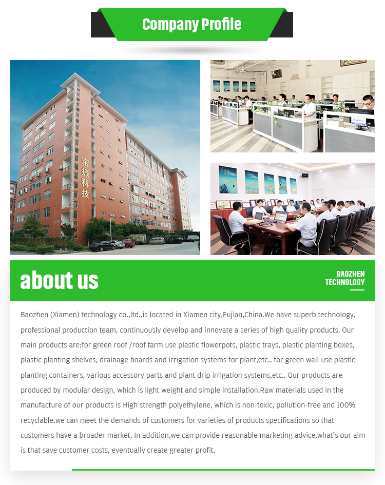 Roof Greening And Reduce Water Pressure HDPE Dimple Geotextile Membrane