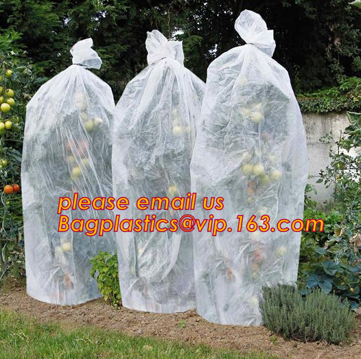 Multi-Span Plastic Film Cover Natural Ventilation Vegetable Greenhouse,Greenhouse Kits Plastic Greenhouse 200 micron gre