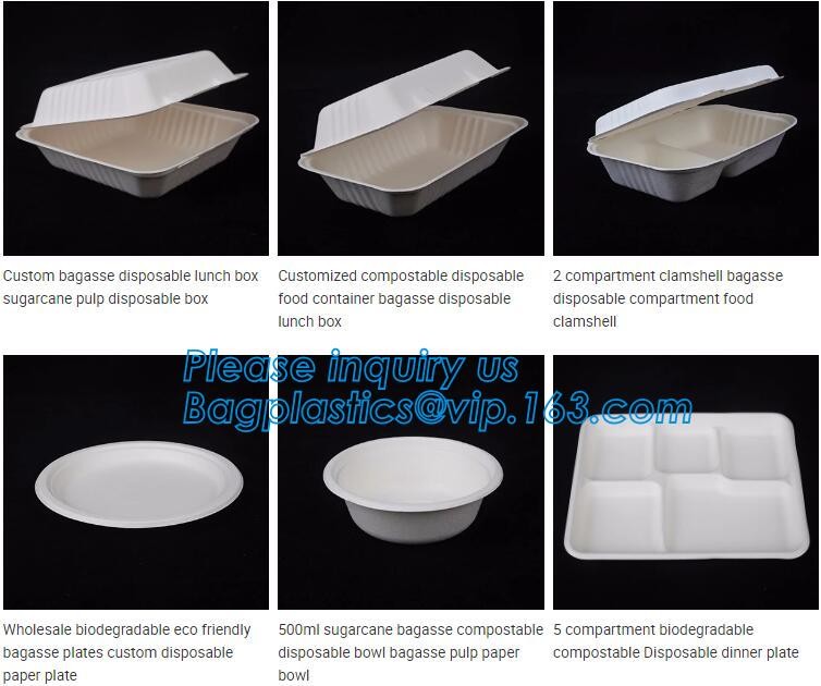 Meal Prep Containers Free Sample Bento Lunch Box Biodegradable Food Container Plastic Wheat Straw Lunch Box bagplastics