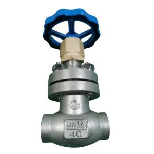  Low Temperature Gas DN15 PN40 Socket Weld Globe Valve Manufactures