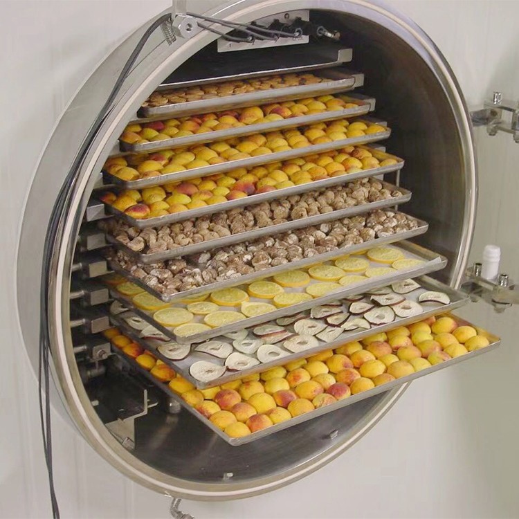 Industrial Food Freeze Drying Machine Quick Freezing, Lyophilization