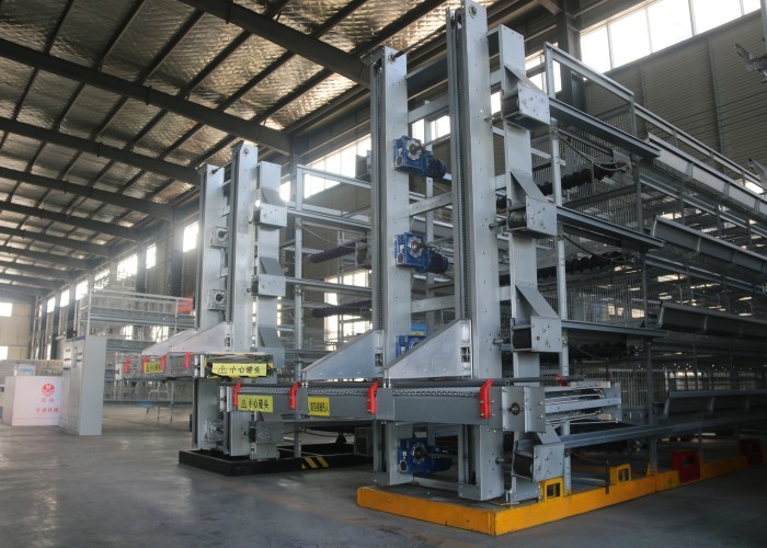 192 Birds Fully Automatic Q235 4 Tiers Chicken Cage
