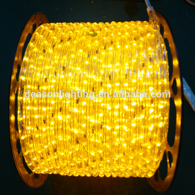 110V /220V led rope light