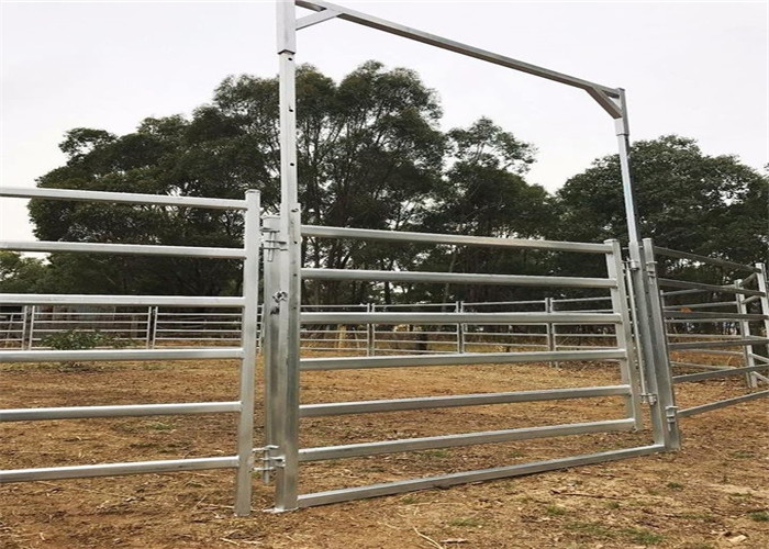 Cattle Yard Panels 1.6mx1.8m 0val 30mmx60mm design Farm Fencing