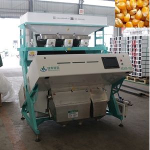 2T/H-4T/H Seed Corn Sorting Machine Easy Operate Colour Separation Machine