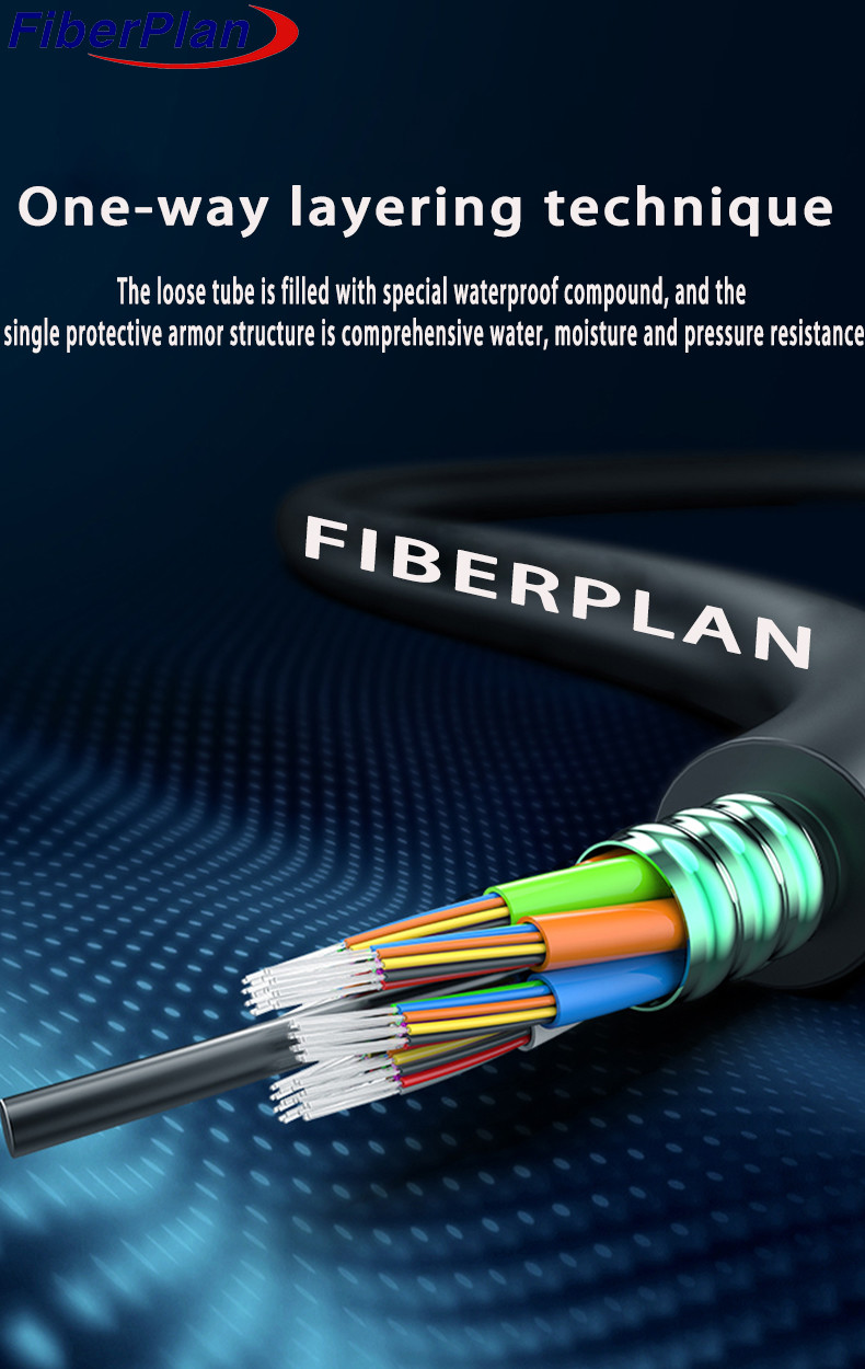High Strength 4 6 8 12 24 48 Cores Armored Fiber Optic Cable