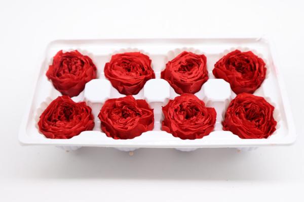 4-5cm Austin Flower Rose Head Preserved Long Lasting Eternal Rose For Wedding