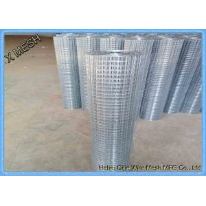 China Industrial Aviary 1  Electro / Hot Dipped Galvanized Welded Wire Mesh on sale