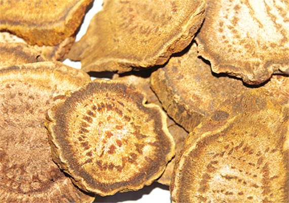 Traditional Chinese Herb Medicine Anti-tumor Product Dried Rhubarb Extract