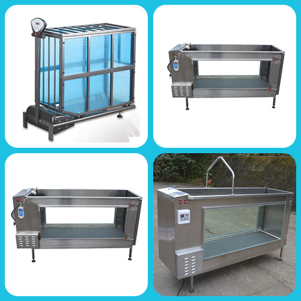 Rehabilitation Training Dog Training Treadmill For Small Pet Animals