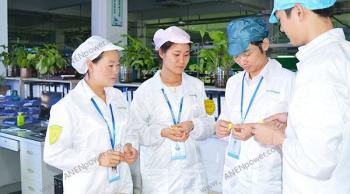 ANEN Enterprise Limited