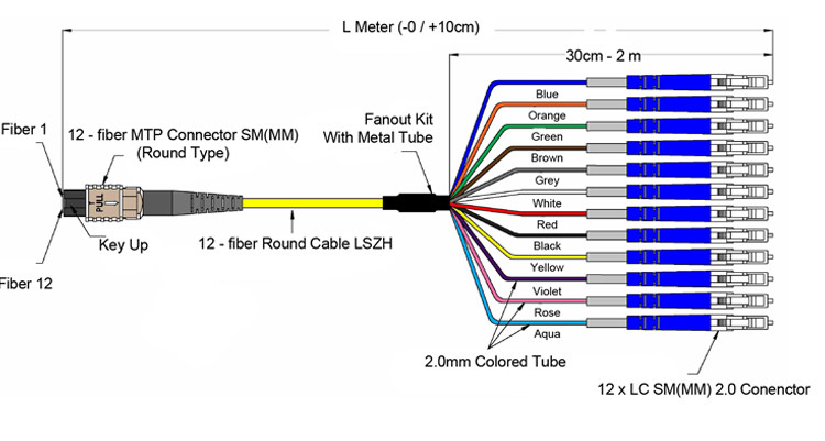 Harness Breakout Fan Out MPO MTP Cable OM1 OM2 OM3 OM4 Fiber mode