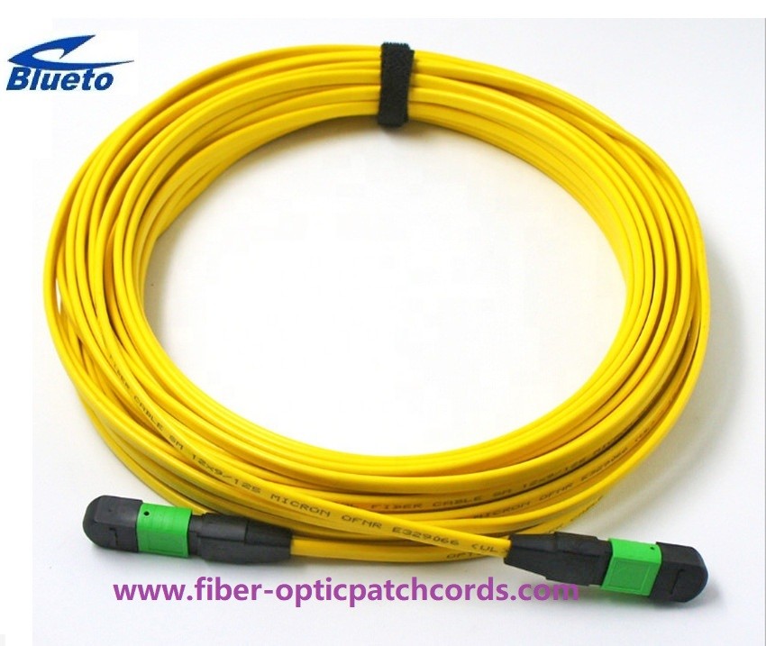 Violet MPO MTP OM4 Fiber Optic Patch Cord 24 Core UPC Polish