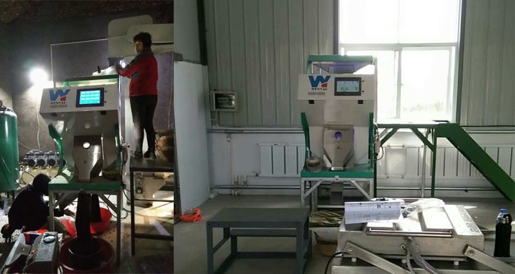 220V / 50Hz Wenyao Color Sorter Machine For Coffee Bean Cherry