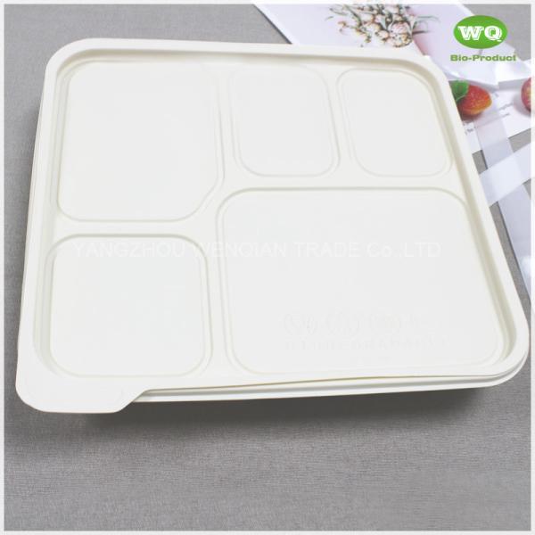 Disposable 950ml 5-Compartments Bio-plastic Lunch Box,Sustainable Food Safe