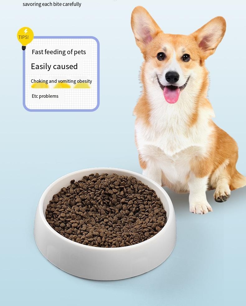 Pet Planet Shaped PP Slow Food Bowl Non Slip and Non Knockover Dog Bowl