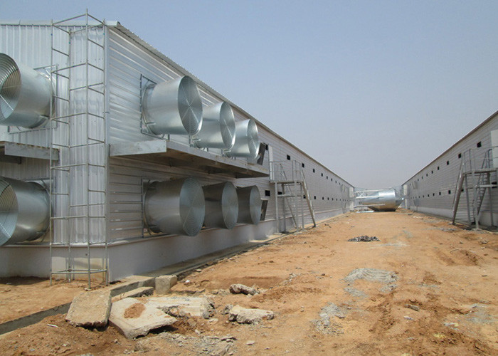 ABB WEG Motor Chicken House Exhaust Fan Poultry Farm Cooling ISO9001