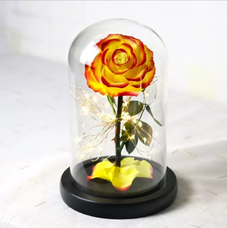 Beauty and the beast preserved rose in glass real rose preserved