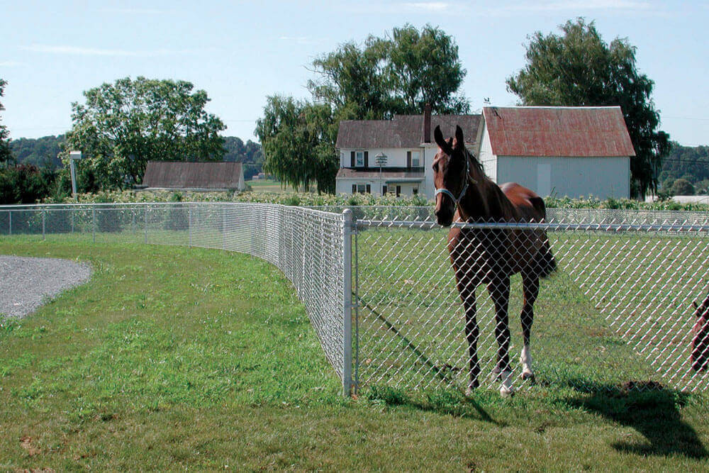 chain link fence