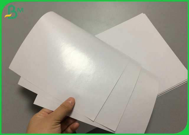 80gr 100gr PE Coated White Paper Grease Resistant For Restaurant Paper Bags 