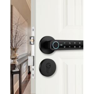 TTLock Electronic Code Lock Remote Control WIFI Bluetooth Controlled Lock