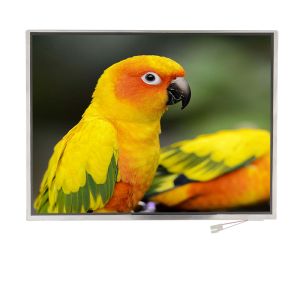 12.1 Inch TFT LCD 1024x768 Resolution LVDS Interface with Customized FPC and TP