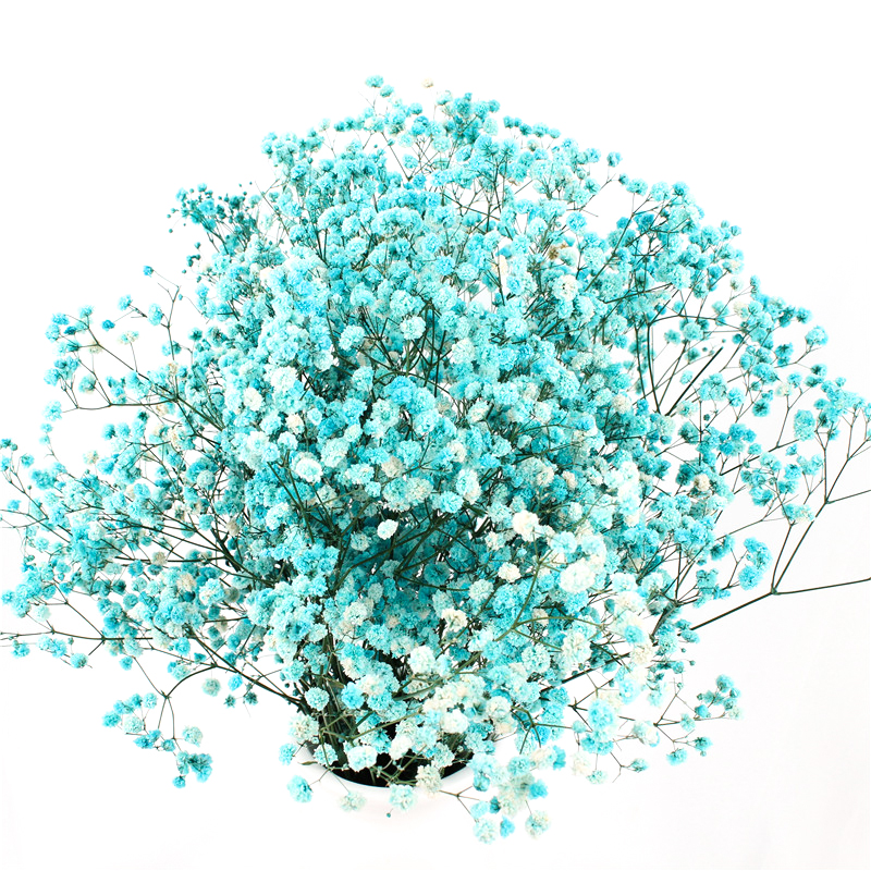 Multicolor Beautiful Dried Flowers Baby'S Breath Wedding Table Decorations