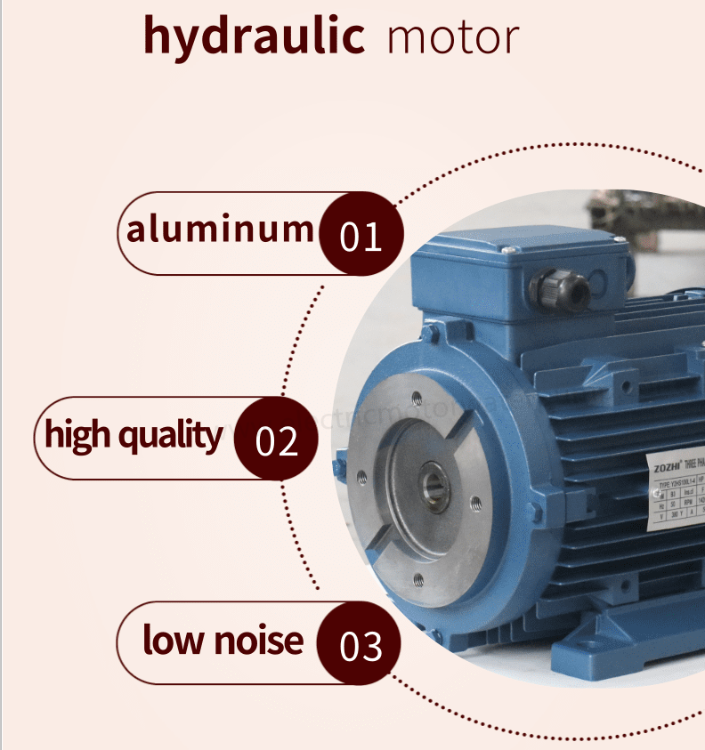 hydraulic motor